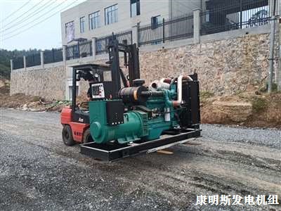 東風(fēng)康明斯柴油發(fā)電機組  交貨
