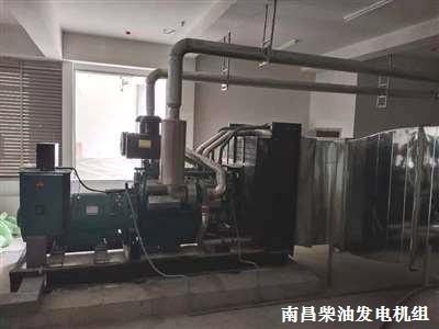 上海申動(dòng)發(fā)電機(jī)組 調(diào)試