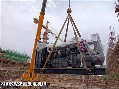 300KW上柴柴油發(fā)電機 供貨