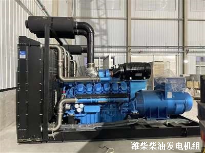 濰柴柴油發(fā)電機組 供貨